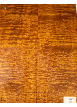 Drop Top Quilted Sapele MB Exclusive Nº18