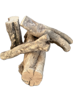 Tronc Buis - Vérifiez les disponibilités (info@maderas-barber.com / +34 961340301)