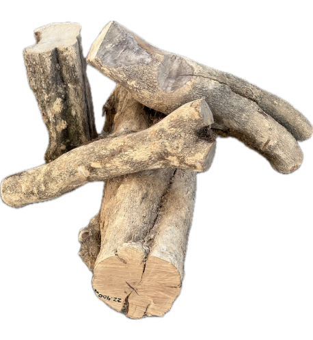 Tronc Buis - Vérifiez les disponibilités (info@maderas-barber.com / +34 961340301)