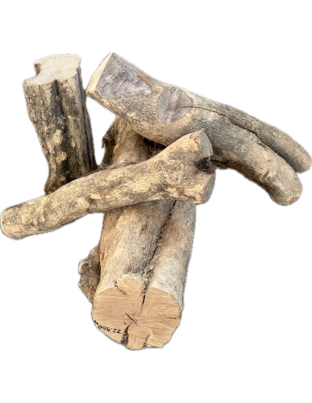 Tronc Buis - Vérifiez les disponibilités (info@maderas-barber.com / +34 961340301)