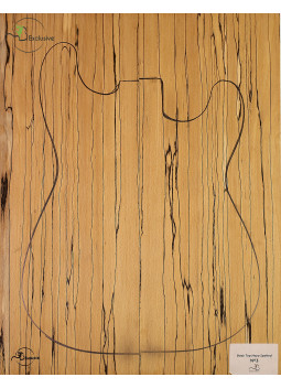 Top Spalted Beech Body Guitar / Electric Bass MB Exclusive Nº3