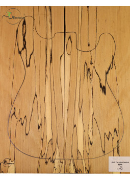 Tapa Cuerpo Haya Spalted Guitarra/Bajo Eléctrico MB Exclusive Nº4