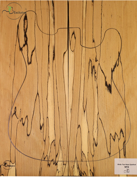 Body Top Guitare / basse électrique MB Exclusive Nº4 Spalted Hêtre