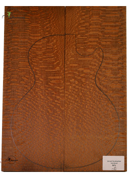 Carved Top Brazilian Lacewood MB Exclusive Nº2