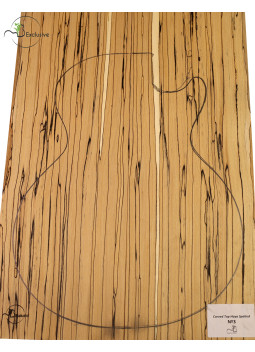 Carved Top Hêtre Spalted MB Exclusive Nº3 | Maderas Barber