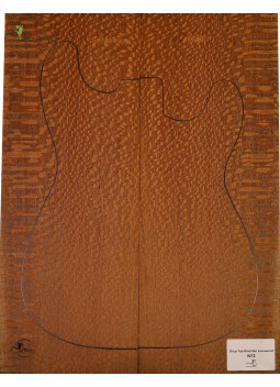 Drop Top Brazilian Lacewood MB Exclusive Nº2