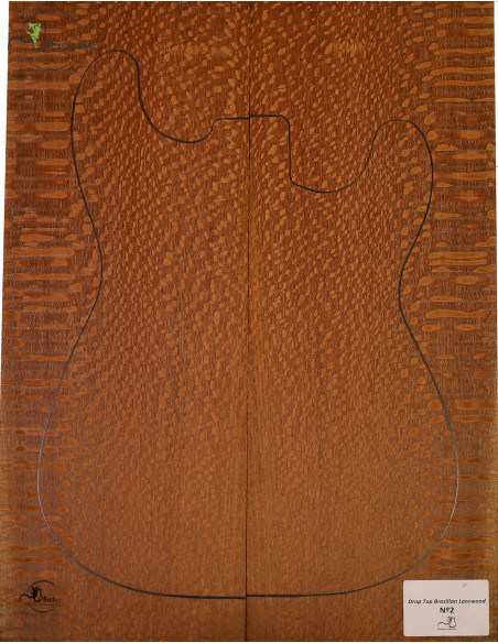 Drop Top Brazilian Lacewood MB Exclusive Nº2