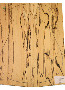 Juego Haya Spalted Guitarra Acústica MB Exclusive Nº58 | Maderas Barber