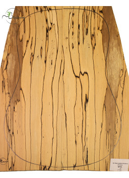 Spalted Beech Set Nº 55 Acoustic Guitar MB Exclusive | Maderas Barber