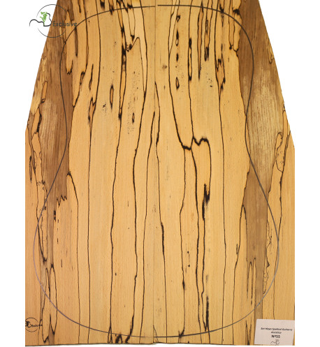 Juego Haya Spalted Guitarra Acústica MB Exclusive Nº55 | Maderas Barber
