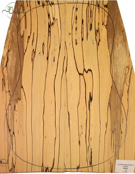 Juego Haya Spalted Guitarra Acústica MB Exclusive Nº55 | Maderas Barber