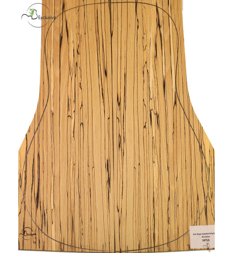Spalted Beech Set Nº 53 MB Exclusive Acoustic Guitar | Maderas Barber