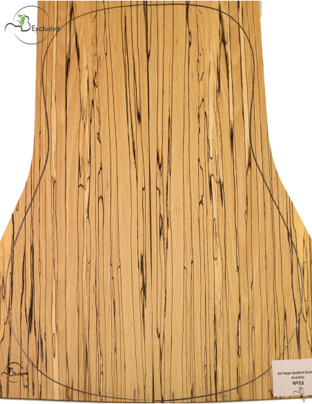 Spalted Beech Set Nº 53 MB Exclusive Acoustic Guitar | Maderas Barber