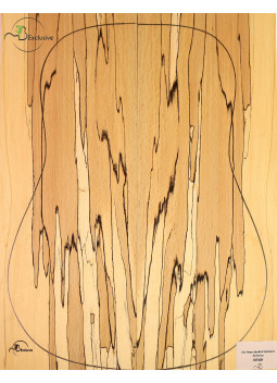 Spalted Beech Set Nº 49 Acoustic Guitar MB Exclusive | Maderas Barber