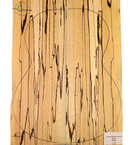 Spalted Beech Set Nº 37  Classical Guitar MB Exclusive | Maderas Barber