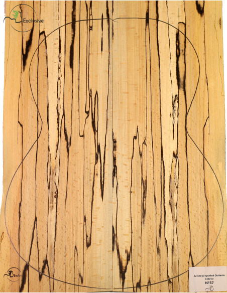 Juego Haya Spalted Guitarra Clásica MB Exclusive Nº37 | Maderas Barber