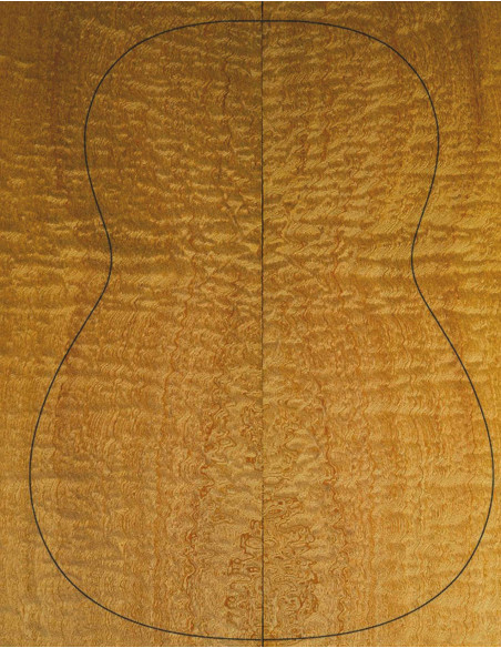 Fonds sapelli Guitare Acoustique