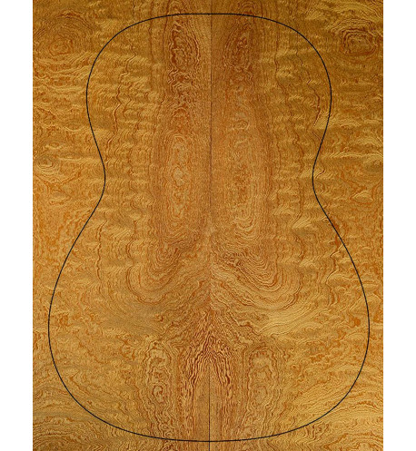 Fonds sapelli Guitare Acoustique