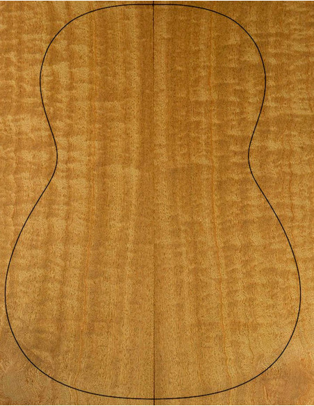 Fonds sapelli Guitare Acoustique