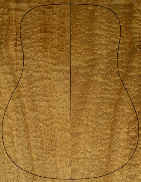 Fonds sapelli Guitare Acoustique