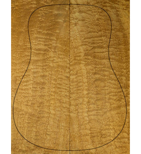 Fonds sapelli Guitare Acoustique