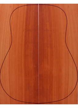 Fonds Bloodwood Guitare Acoustique