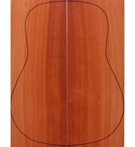 Buy Bloowood Acoustic Guitar Backs