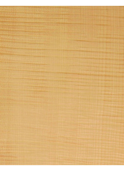 Lámina Chapa Arce Rizado Marquetería 550x200x0,5mm