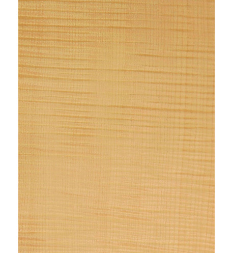 Feuille de Placage Érable Ondé Marqueterie 550x200x0,5mm