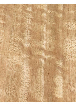 Curly Eucalyptus Veneer Sheet Marquetry 800x110x0,5mm
