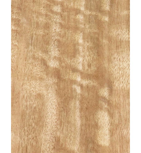 Lámina Chapa Eucalipto Rizado Marquetería 800x110x0,5mm