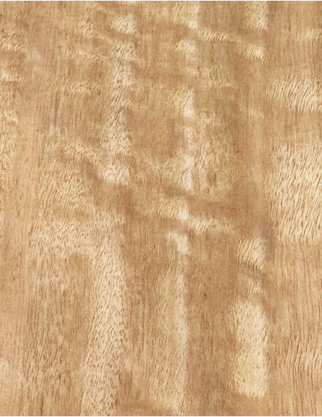 Lámina Chapa Eucalipto Rizado Marquetería 800x110x0,5mm