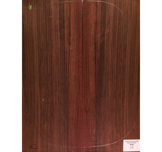 Indian Rosewood Acoustic Guitar Set MB Exclusive Nº50 | Maderas Barber