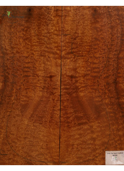 Drop Top Sapelli Quilted MB Exclusive Nº33 | Maderas Barber