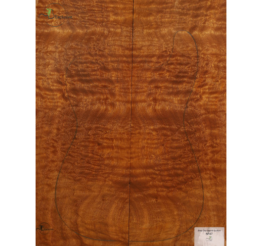 Drop Top Quilted Sapele MB Exclusive Nº47 | Maderas Barber