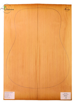 Red Cedar Acoustic Guitar Top MB Exclusive Nº 000131