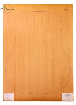 Red Cedar Acoustic Guitar Top MB Exclusive Nº 000128