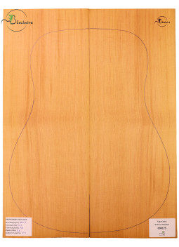 Red Cedar Acoustic Guitar Top MB Exclusive Nº 000125
