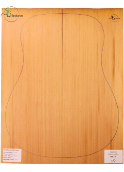 Tapa Cedro Rojo Nº 000119 Guitarra Acústica MB Exclusive