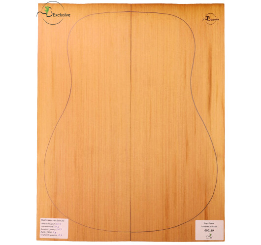 Red Cedar Acoustic Guitar Top MB Exclusive Nº 000119