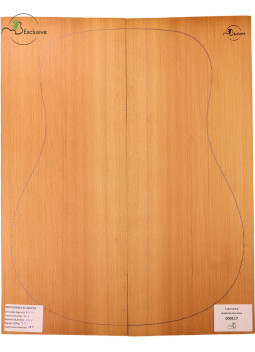 Tapa Cedro Rojo Nº 000117 Guitarra Acústica MB Exclusive