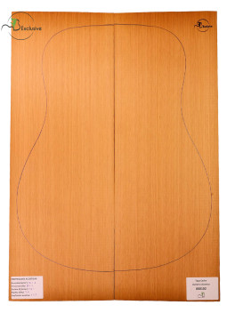 Tapa Cedro Rojo Nº 000102 Guitarra Acústica MB Exclusive