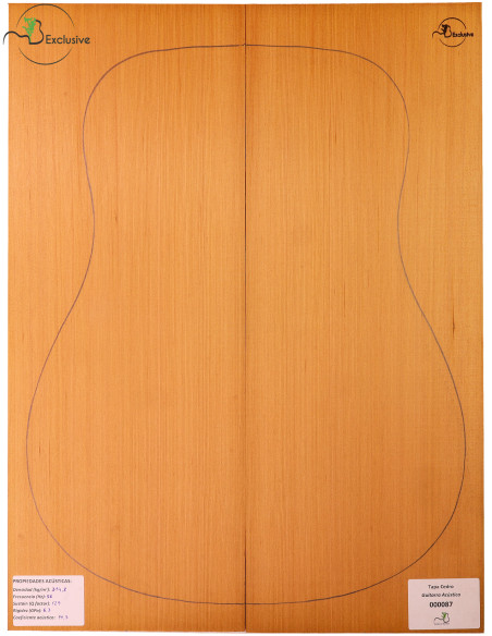 Red Cedar Acoustic Guitar Top MB Exclusive Nº 000087