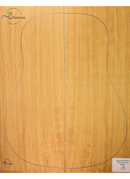 European Oak Acoustic Guitar Set MB Exclusive Nº31| Maderas Barber
