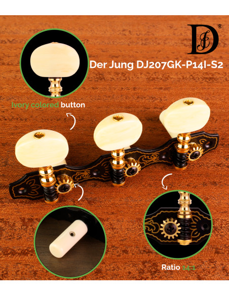Clavijero Der Jung DJ207GK-P14I-S2 | Maderas Barber