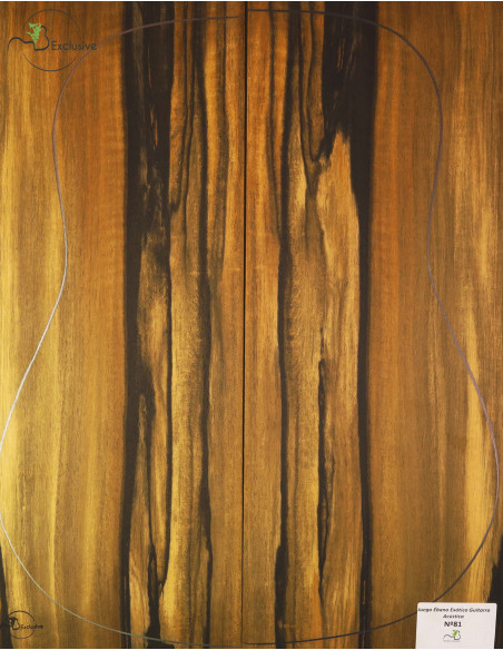 Exotic Ebony Set Nº81 Acoustic Guitar MB Exclusive | Maderas Barber