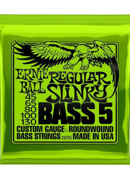 Juego de 5 Cuerdas Ernie Ball Bajo Eléctrico Slinky Regular 45-130