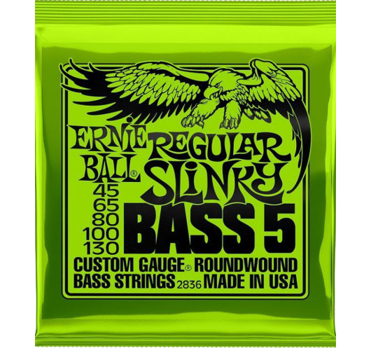 Buy Ernie Ball Regular Slinky Nickel Wound Electric Bass 5 Strings
