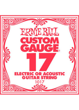 Buy Ernie Ball 017 Plain Electric / Acoustic Guitar String