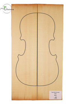 MB Exclusive European Spruce Violin Nº5 | Maderas Barber